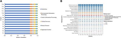 Application of pectin hydrolyzing bacteria in tobacco to improve flue-cured tobacco quality